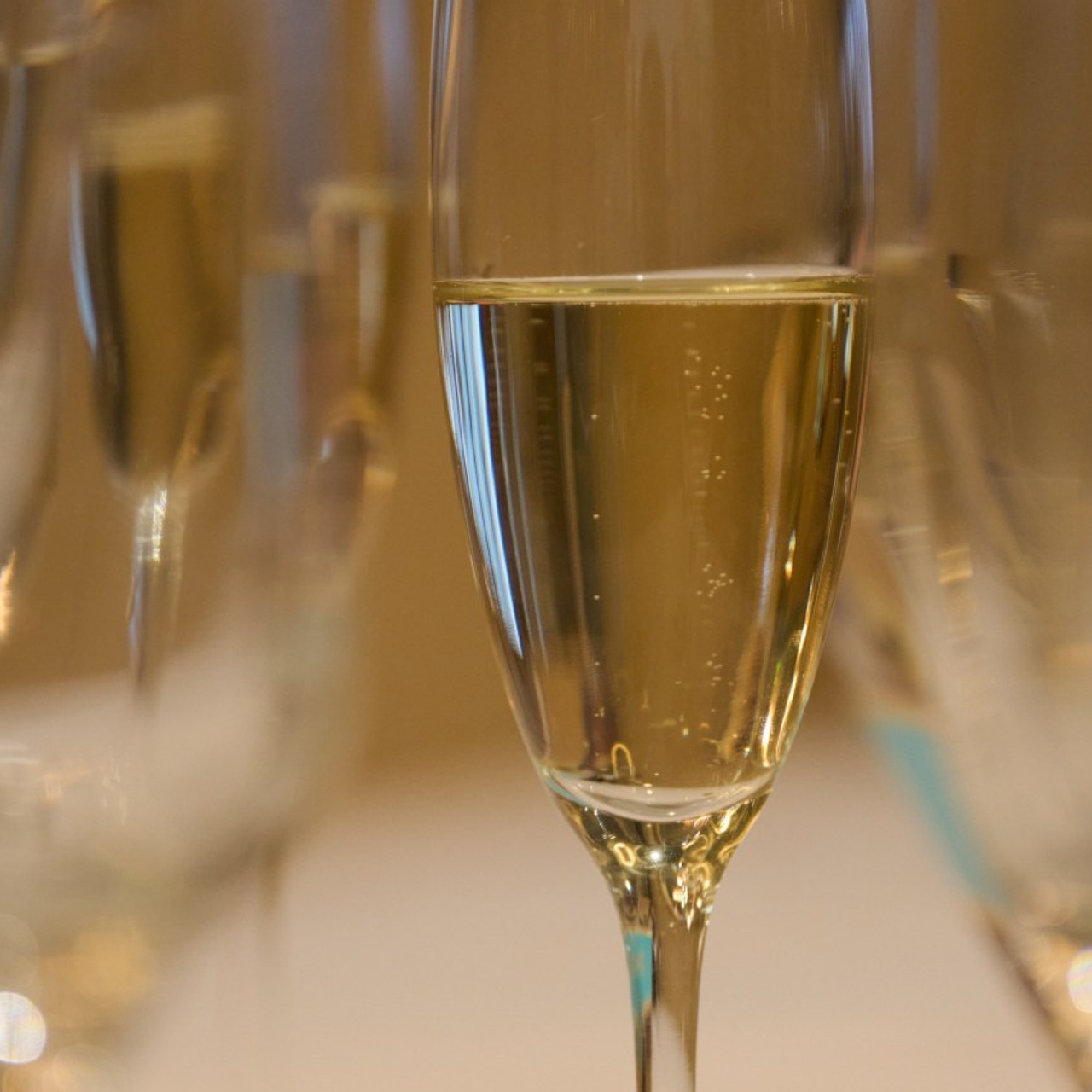 Отзывы. Фотосъемка мероприятий