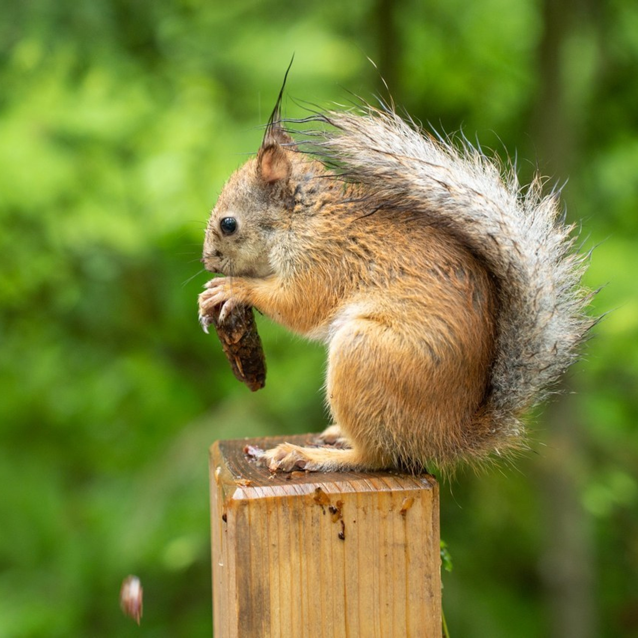 Отзывы. Файн Арт фотограф в Ижевске Елена Кулакова