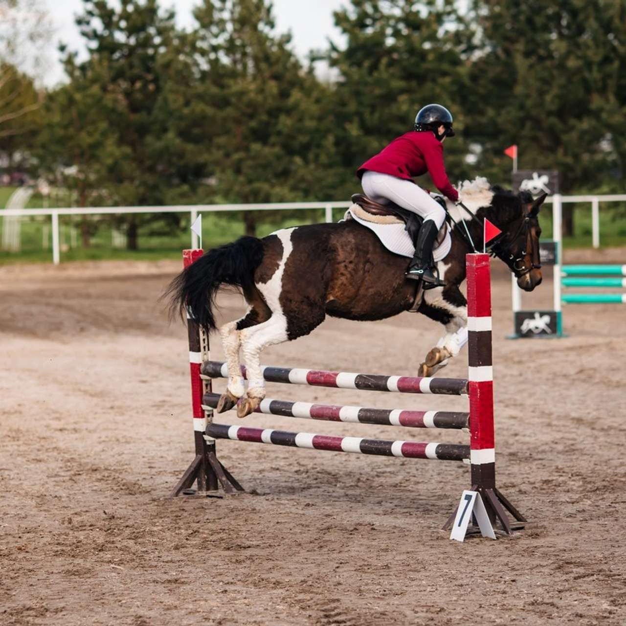 Отзывы. Фотохудожник в Брянске Додонова Ольга