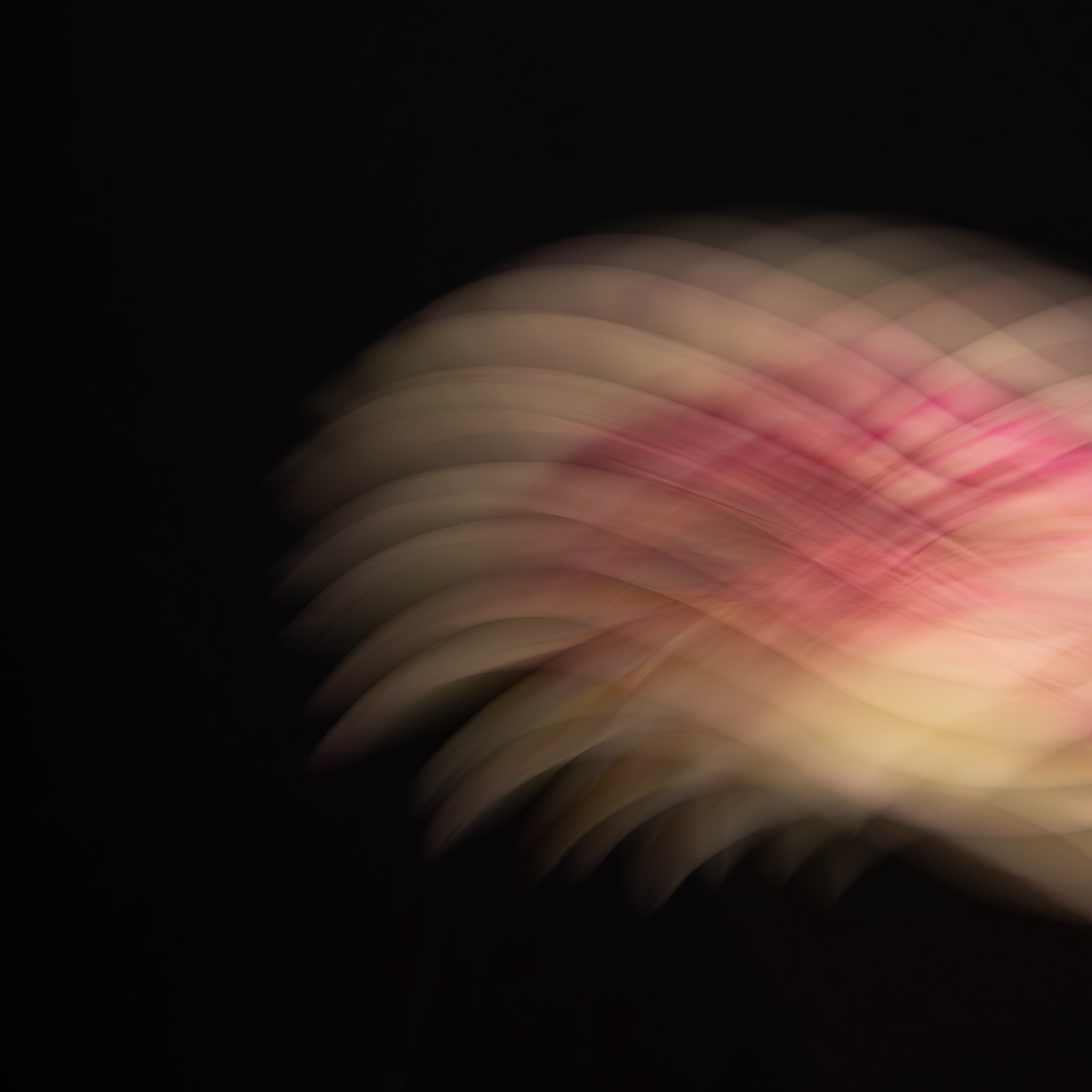 Модель для съемки. Предметный фотограф Дарья Штерн из Санкт-Петербурга