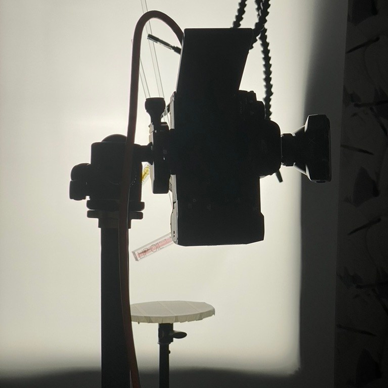 Тренды в фотографии в 2025 году. Предметный фотограф Дарья Штерн из Санкт-Петербурга