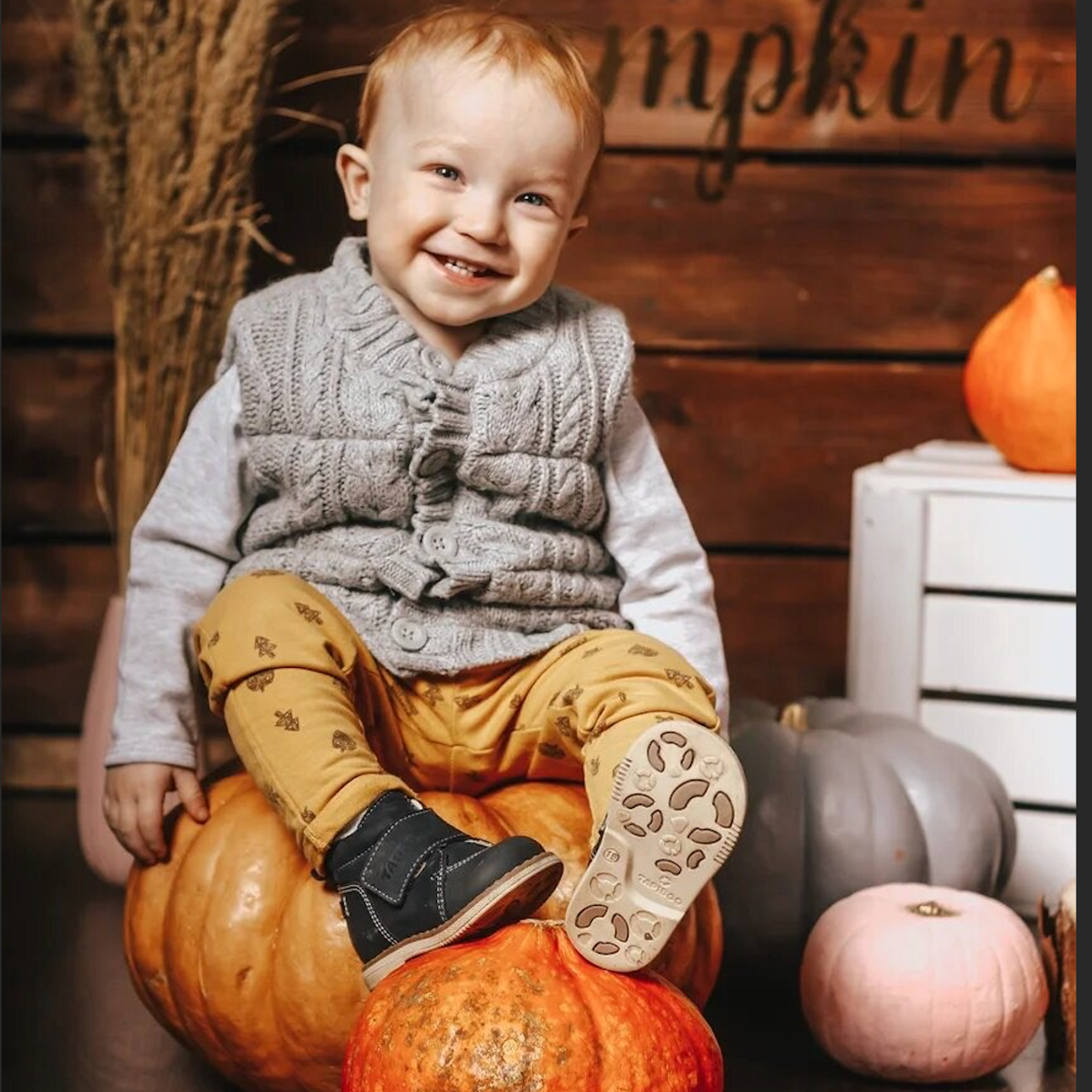 Отзывы. Ваша Маша 🩵 Зеленый фотограф 📸 Питер