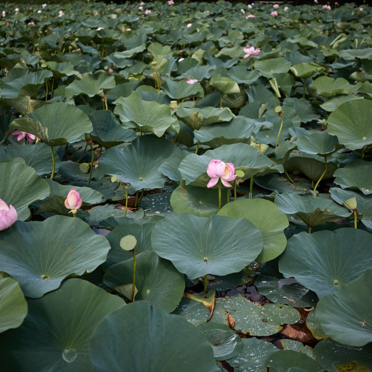 Отзывы. Репортажный и портретный фотограф во Владивостоке Шегай Андрей