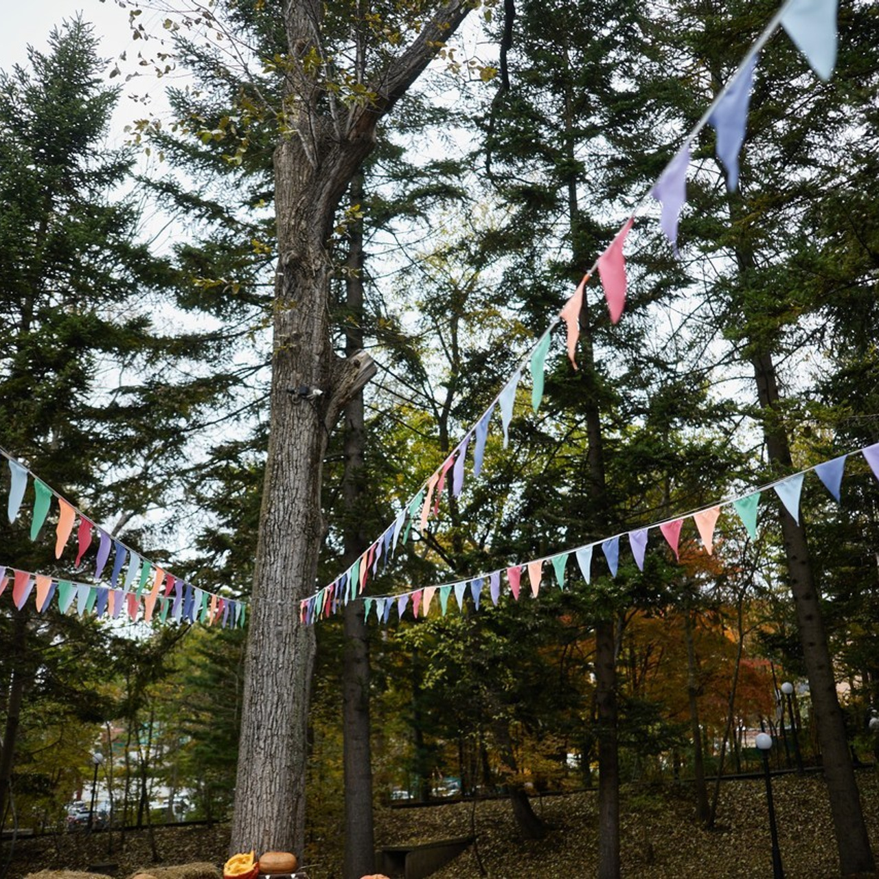 Отзывы. Репортажный и портретный фотограф во Владивостоке Шегай Андрей