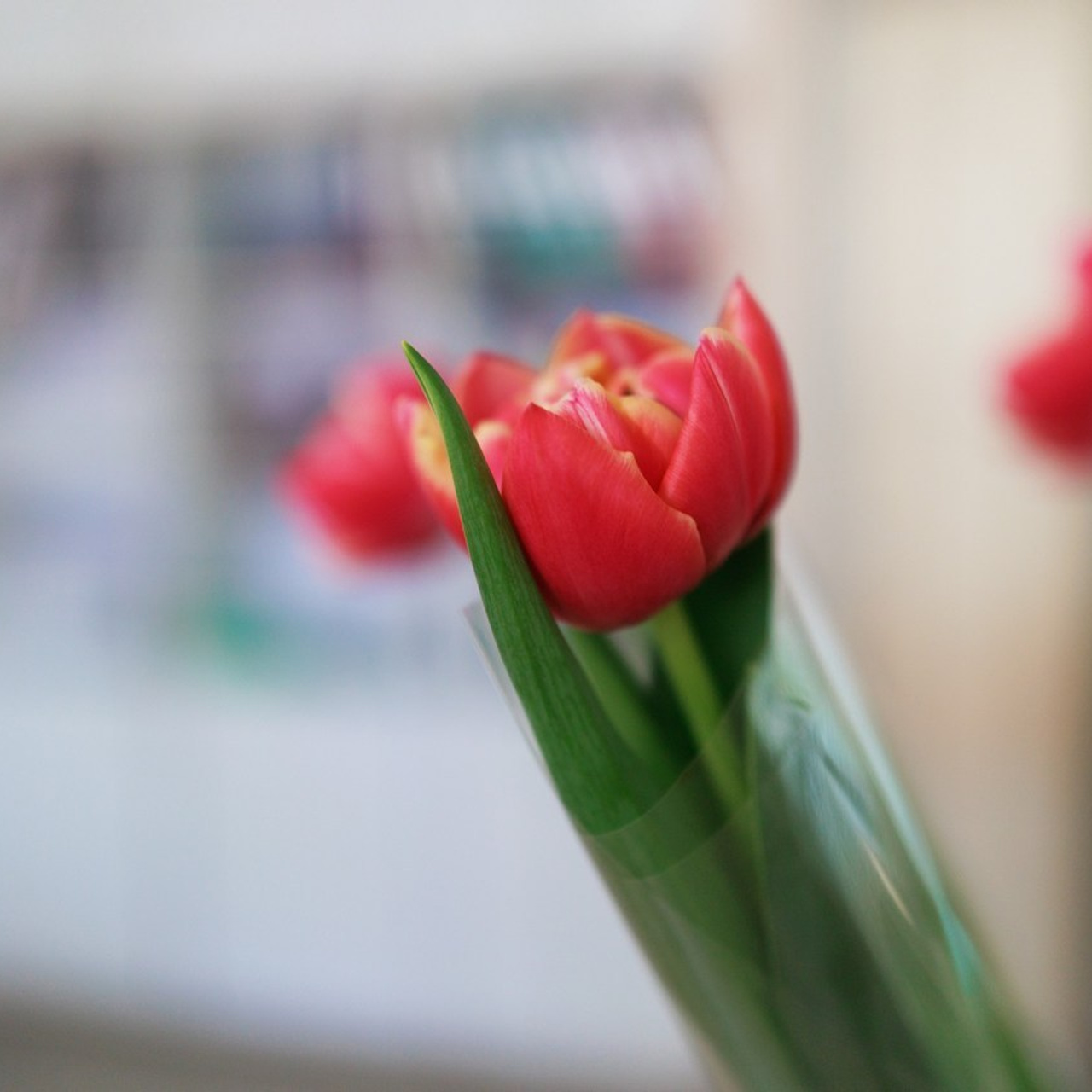 Отзывы. Репортажный и портретный фотограф во Владивостоке Шегай Андрей