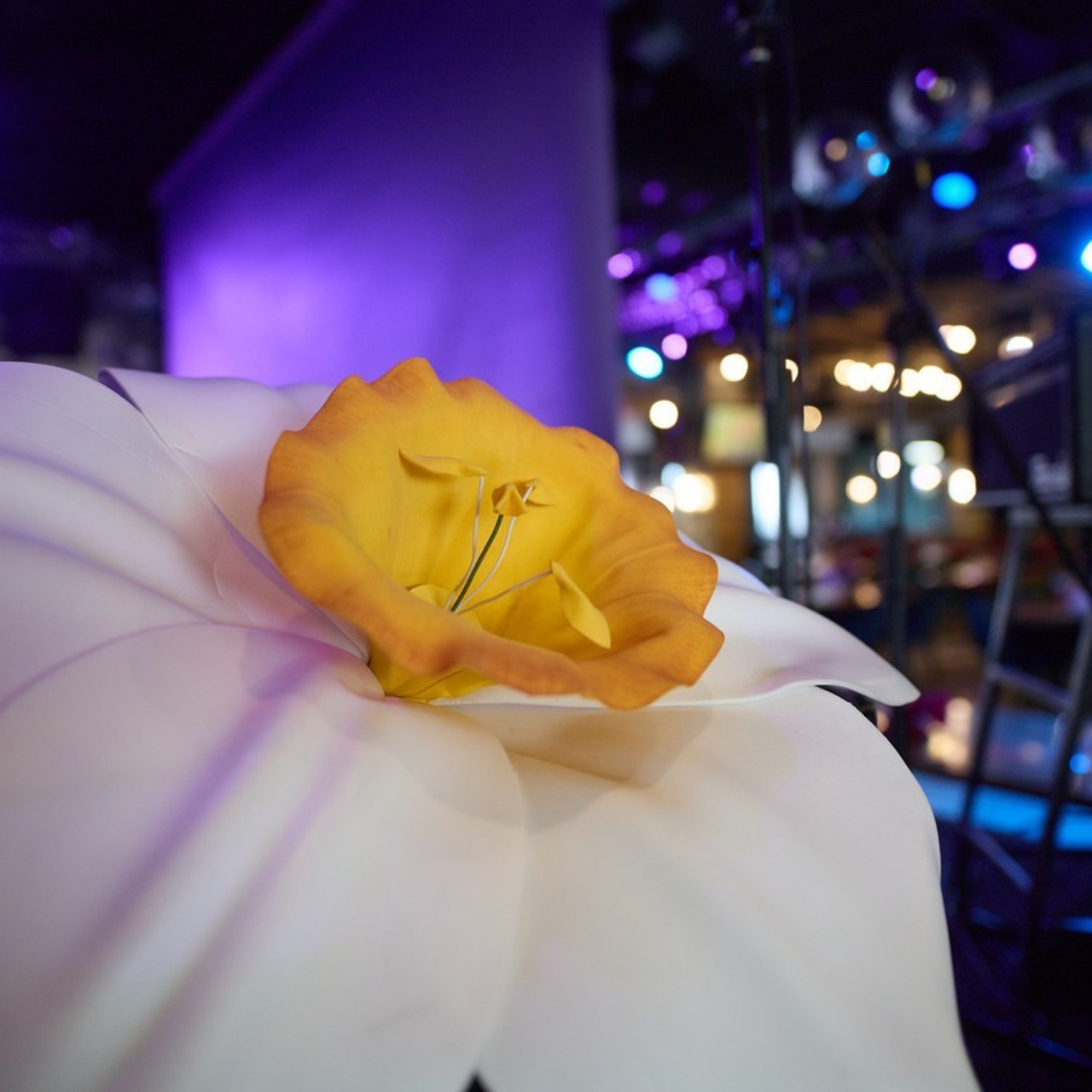 Отзывы. Репортажный и портретный фотограф во Владивостоке Шегай Андрей