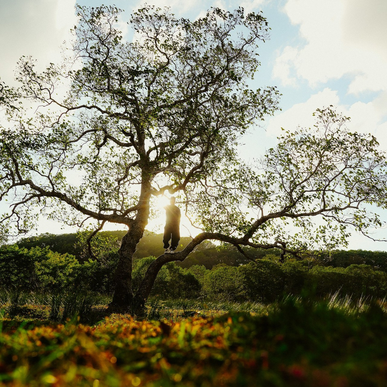 Николай Филиппов Event & Concert Photographer Москвf