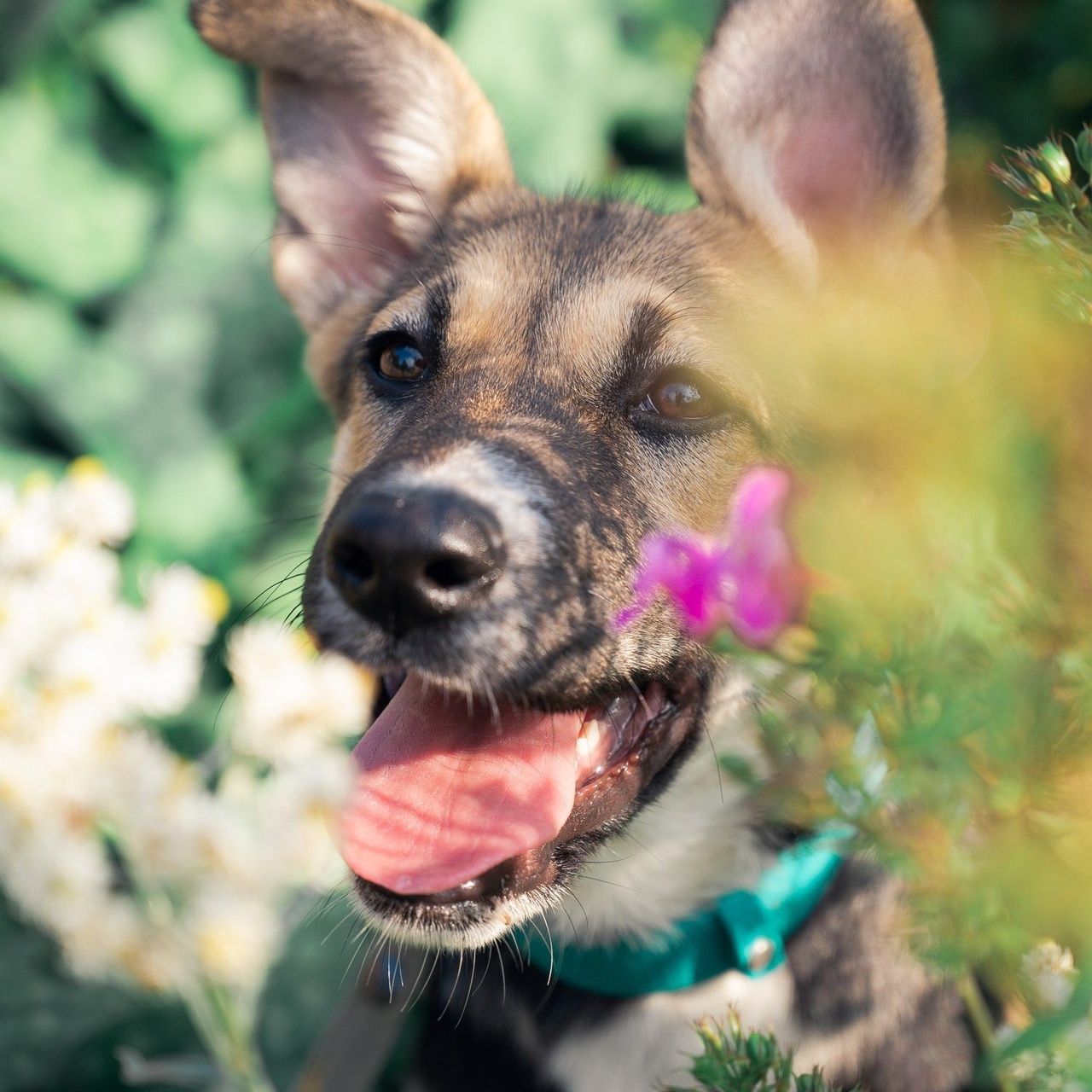 Отзывы. Событийный фотограф в Санкт — Петербурге Elena Ushakova