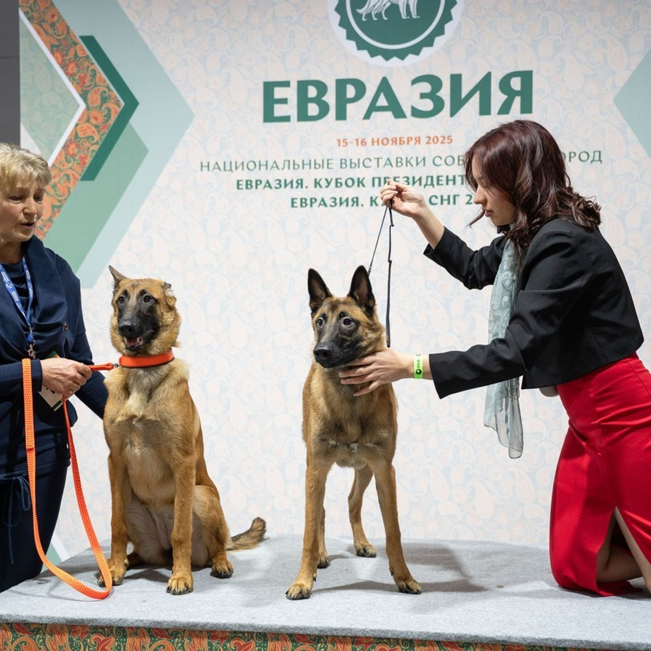 Отзывы. Каталожная и промышленная съемка в Москве Александр Плонский