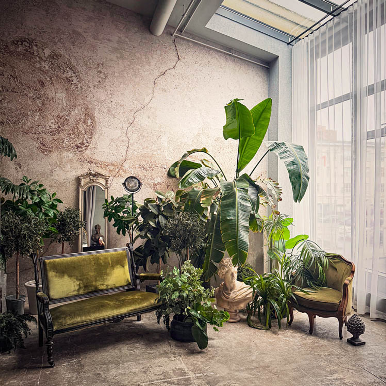 Перья / Оранжерея / Ангел