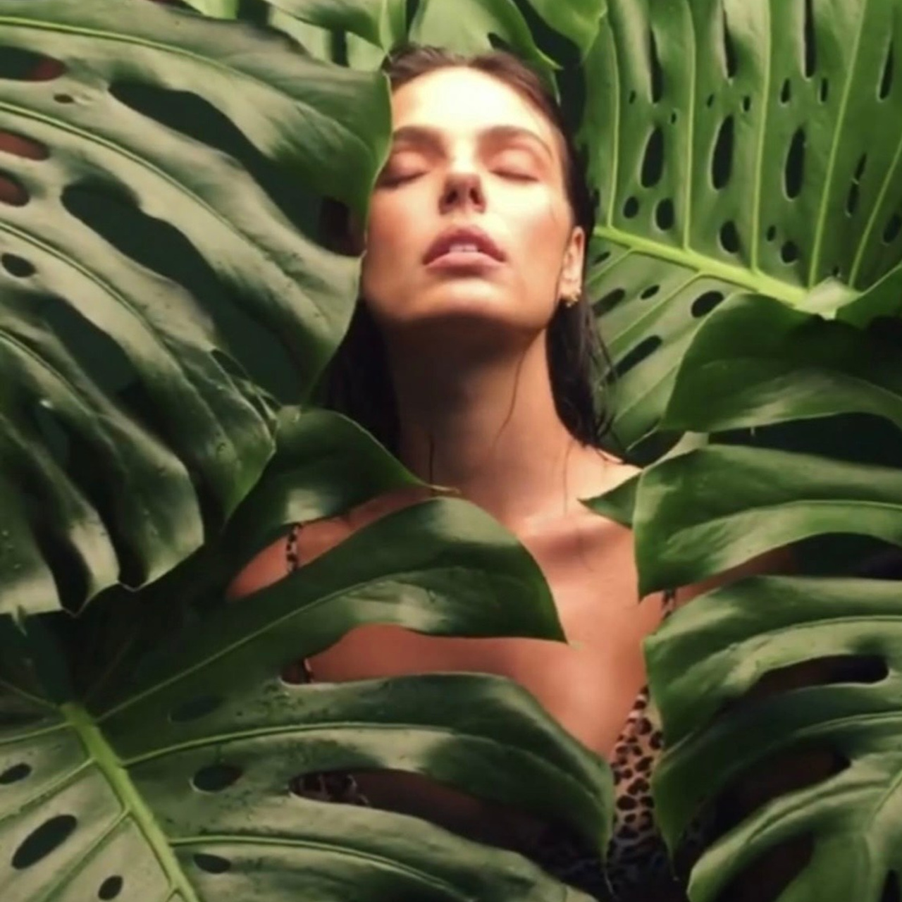 Перья / Оранжерея / Ангел