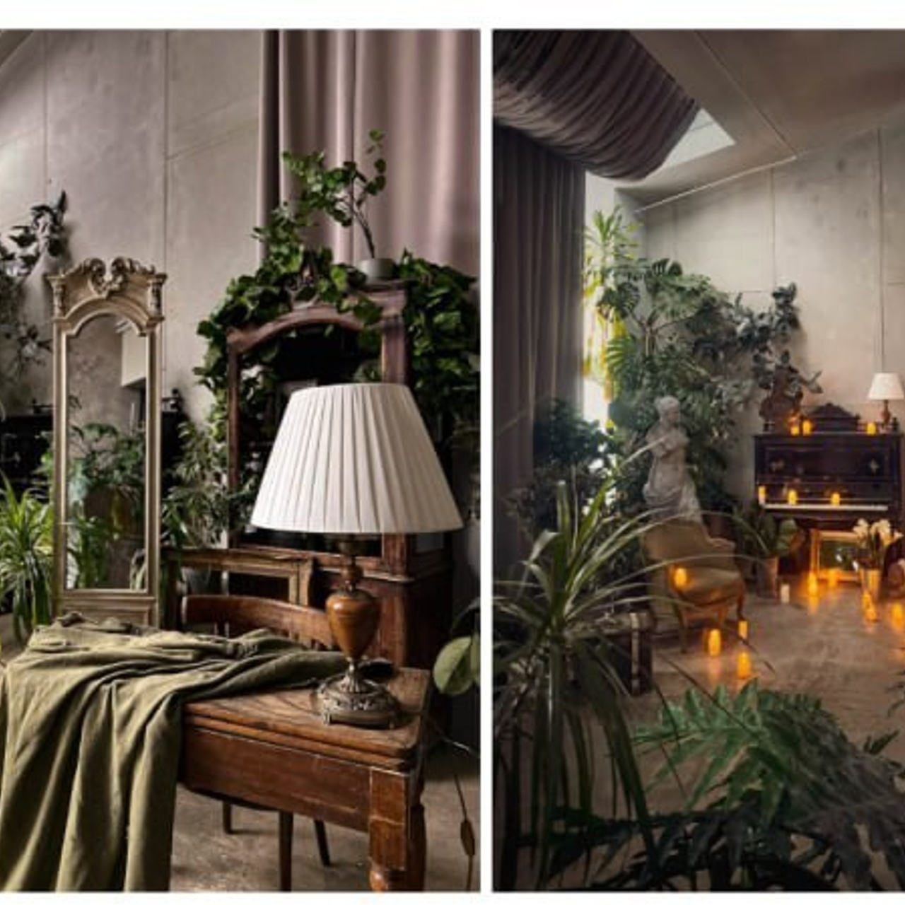 Перья / Оранжерея / Ангел