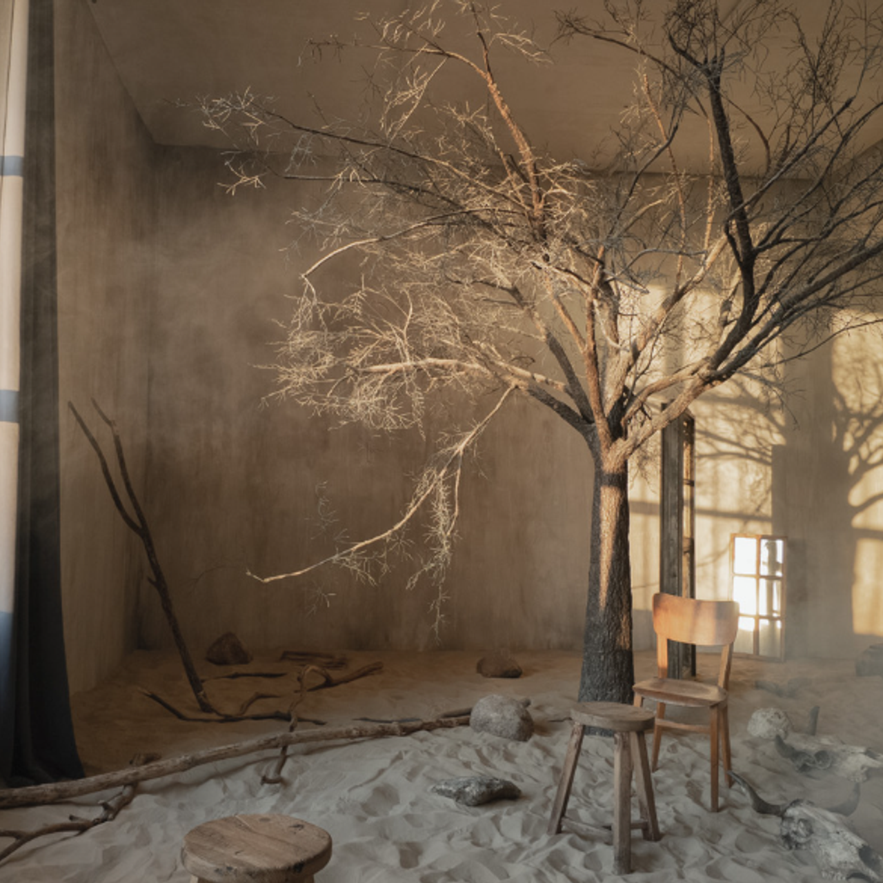 Перья / Оранжерея / Ангел