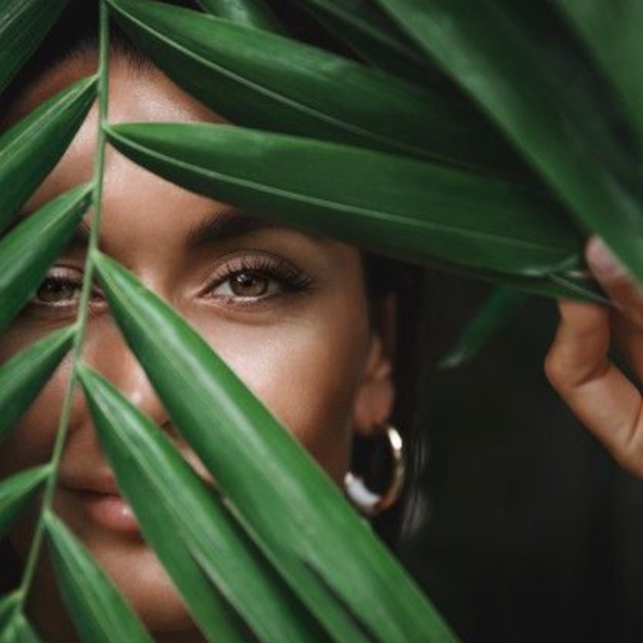 Перья / Оранжерея / Ангел