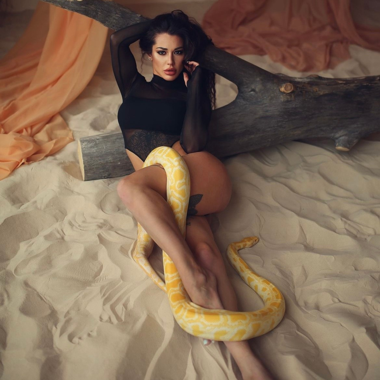 Перья / Оранжерея / Ангел