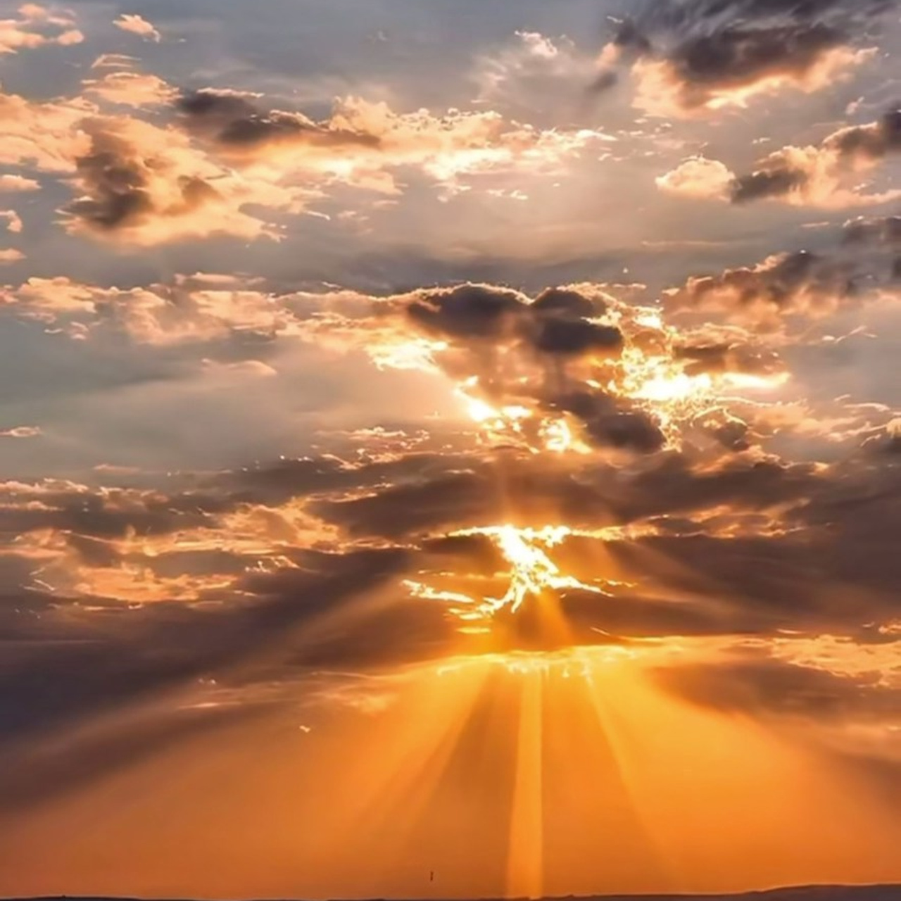 Feed Back. Fusion Wedding Photographer