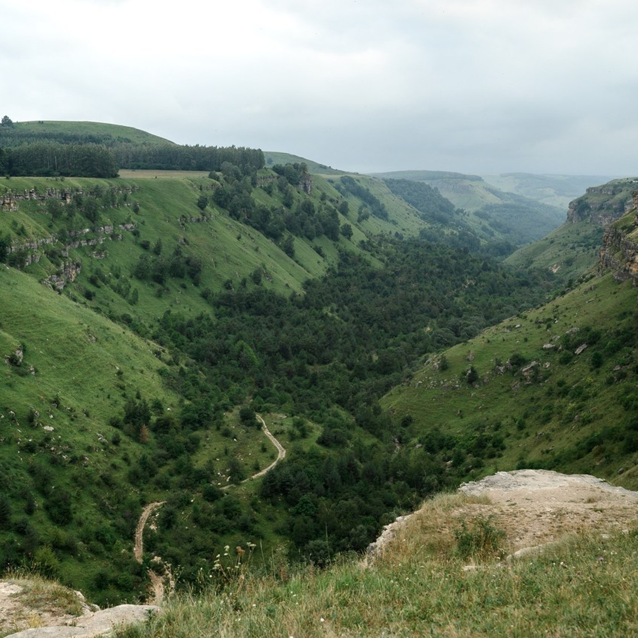 Отзывы. Свадебный и travel фотограф в Волгограде, Сочи, Домбае, Европе