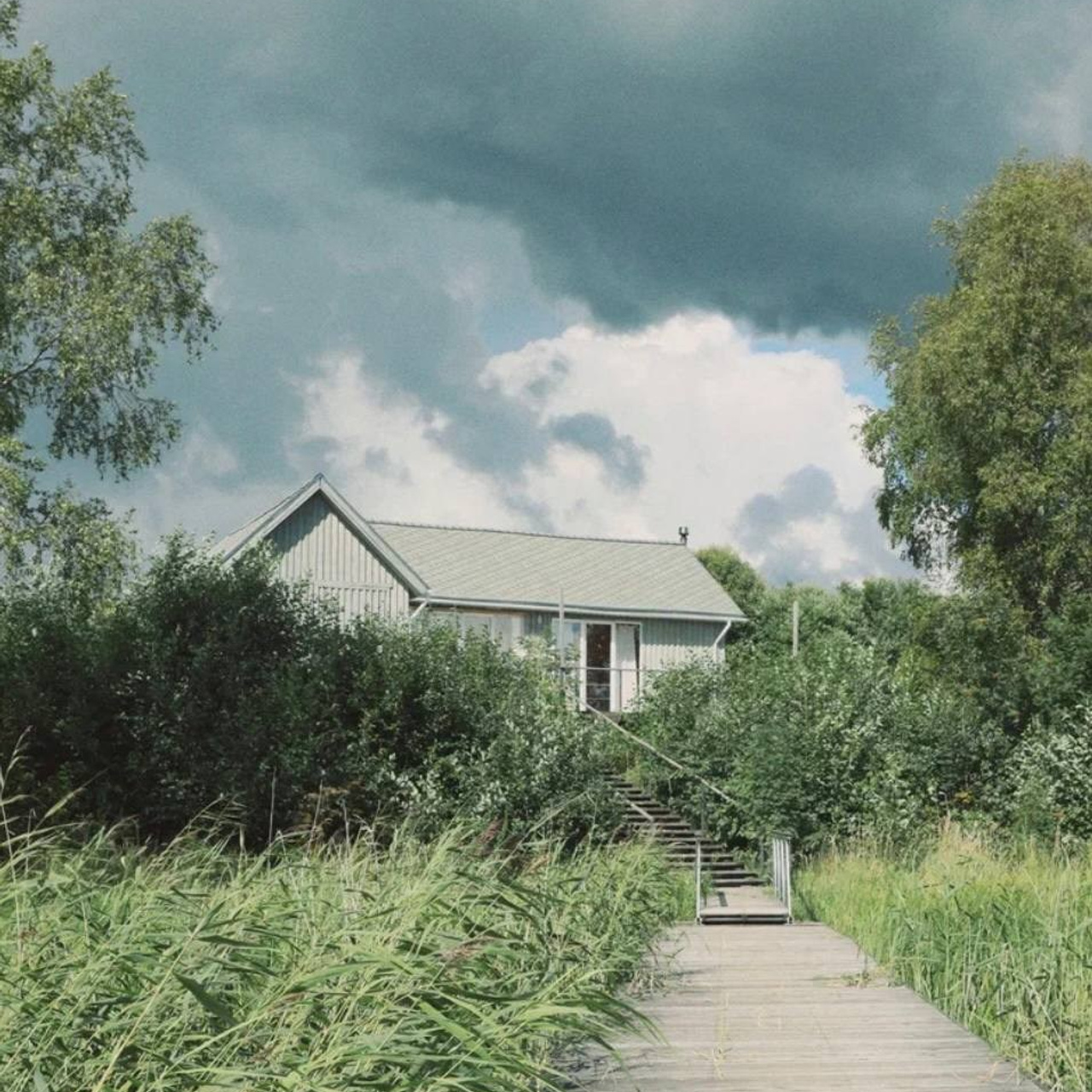 Северный пленер в Карелии. Творческий лагерь для взрослых