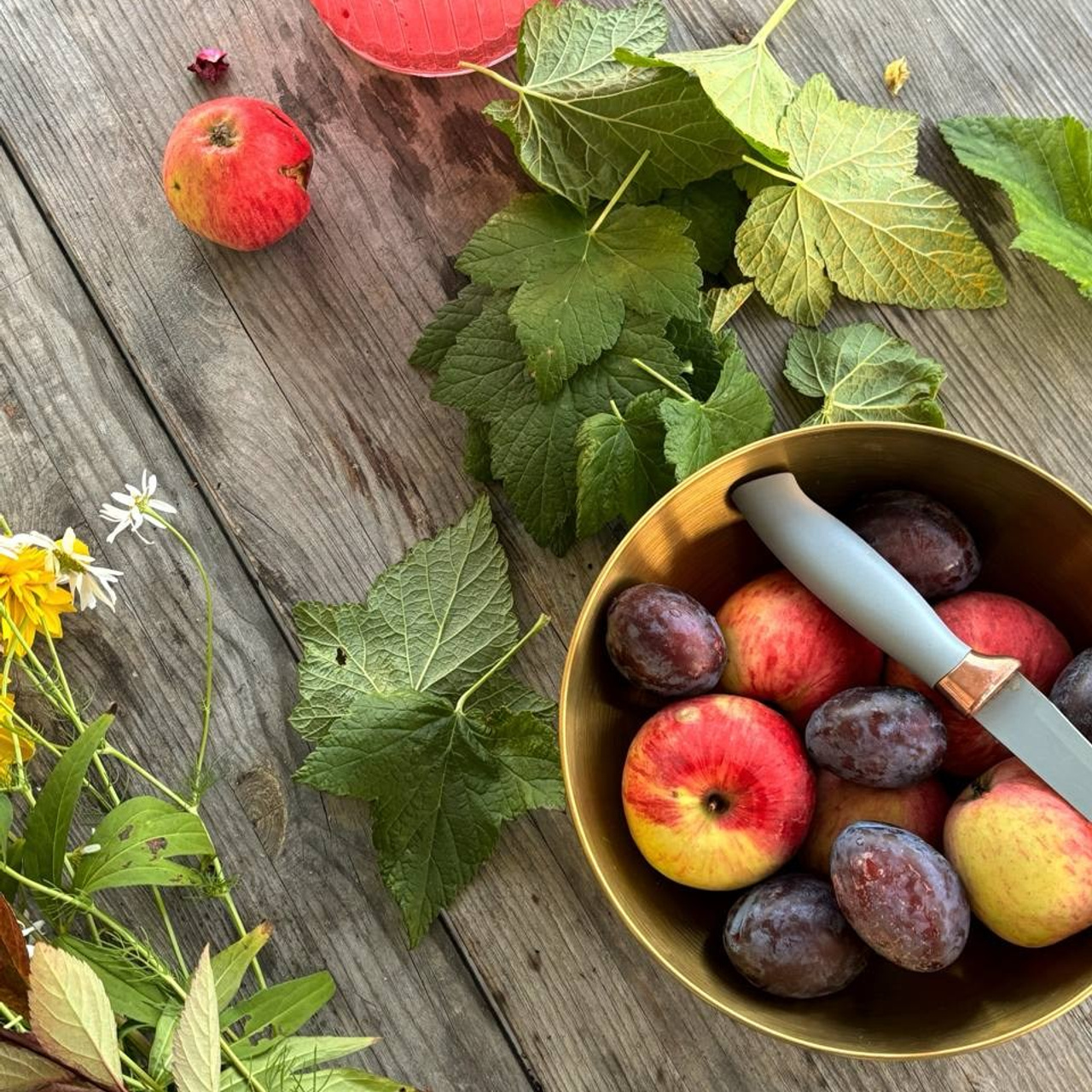 Северный пленер в Карелии. Творческий лагерь для взрослых