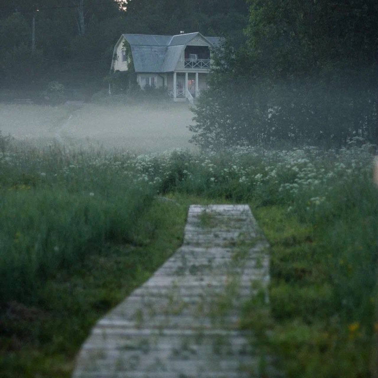Северный пленер в Карелии. Творческий лагерь для взрослых