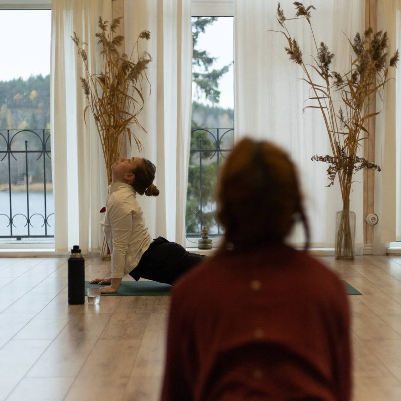 Северный пленер в Карелии. Творческий лагерь для взрослых