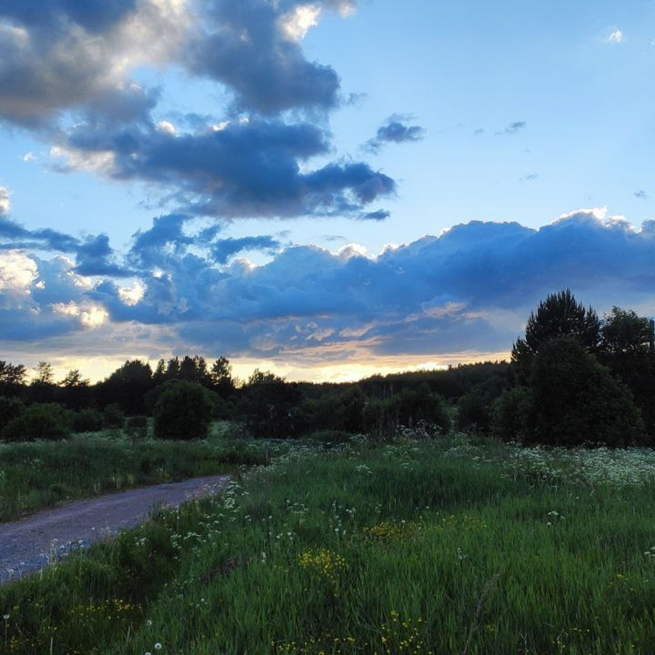 Северный пленер в Карелии. Творческий лагерь для взрослых