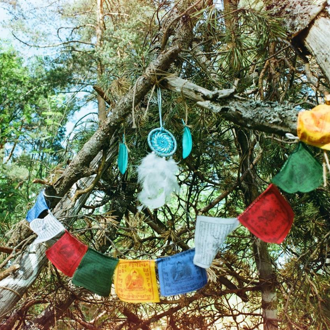 Северный пленер в Карелии. Творческий лагерь для взрослых