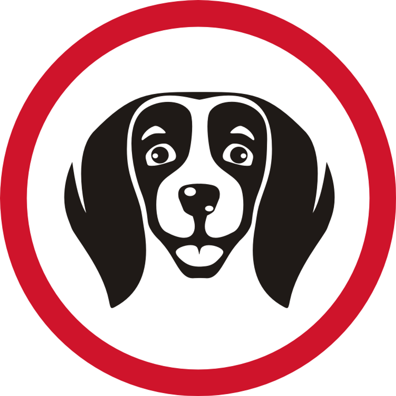 Отзывы. Предметный и портретный фотограф Конорев Роман | Санкт-Петербург