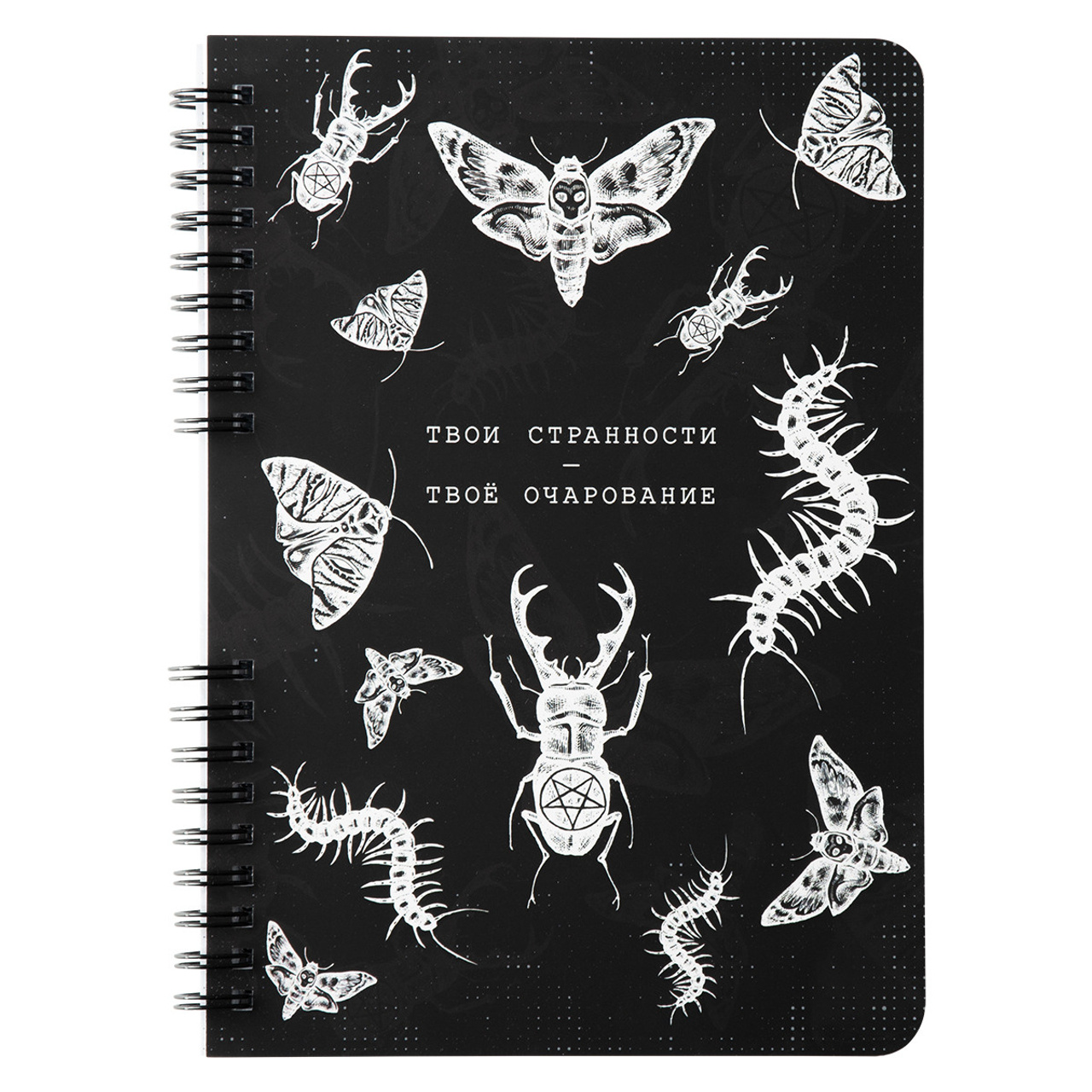 Канцелярские товары для интернет-магазина «Мам, Купи!»