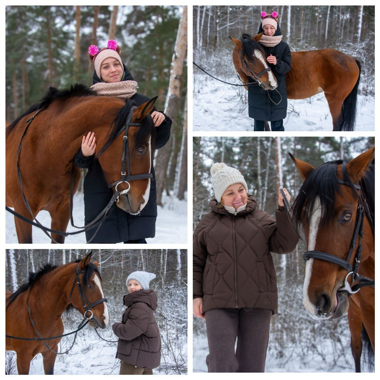 Лес, лошадь и момент полного доверия