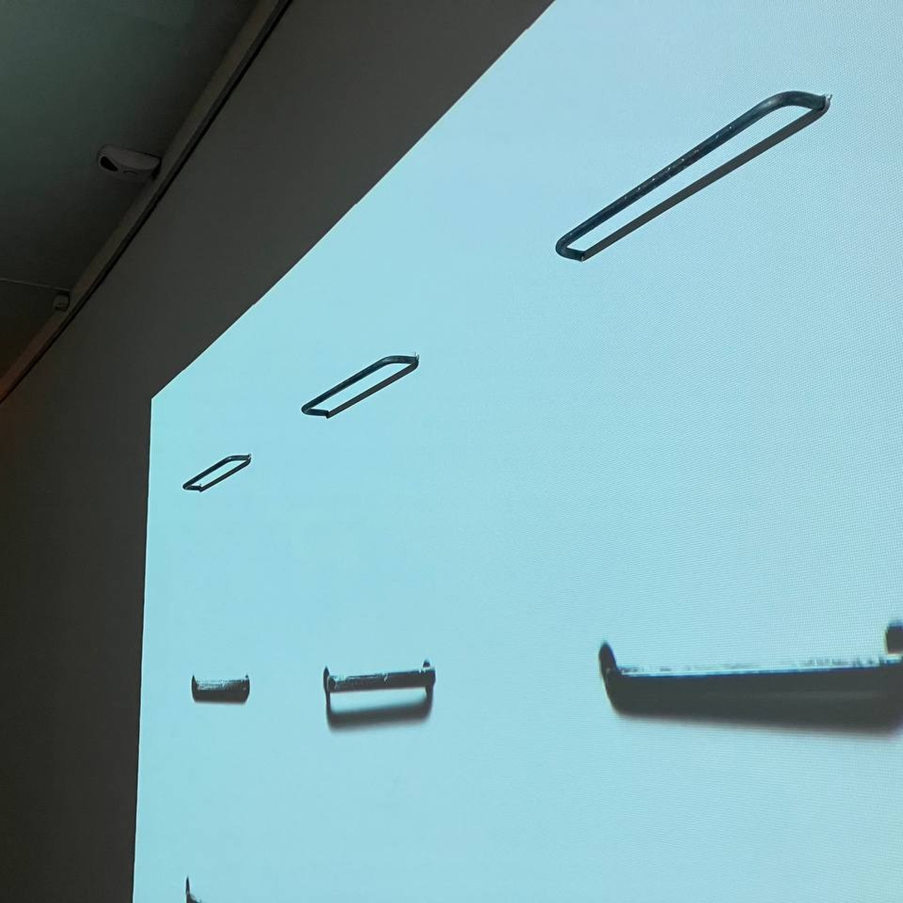 Per aspera as astra. Elena Slobtseva is a visual multidisciplinary artist