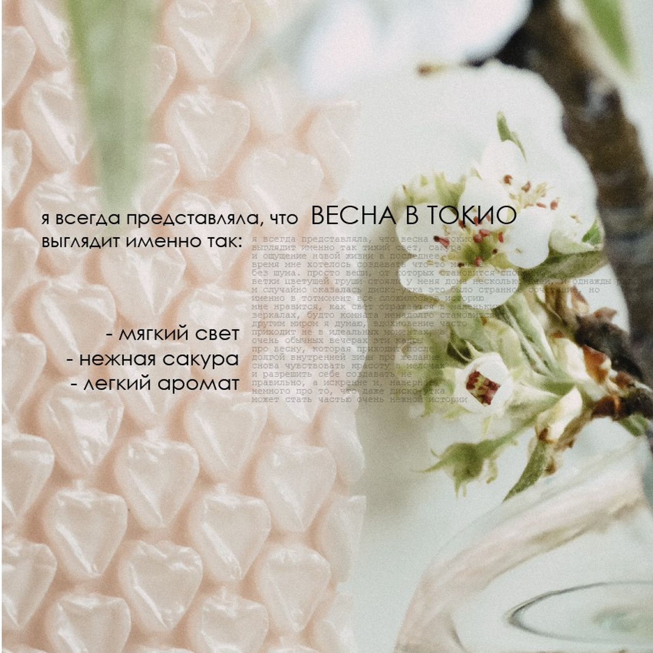 Ранняя весна. Женя Красовская | Фотограф | Smm-дизайнер
