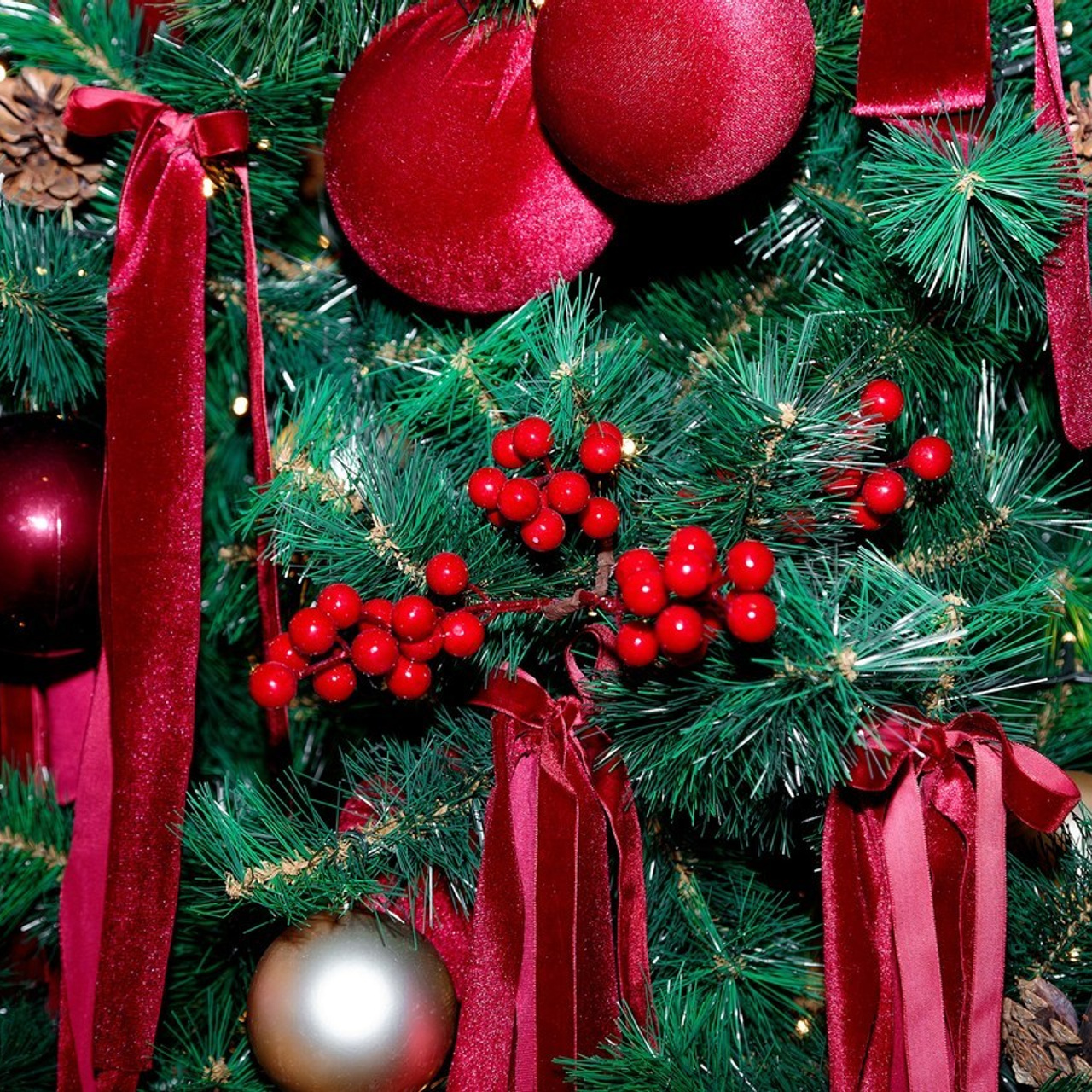 Отзывы. Репортажный фотограф Кузнецова Кристина