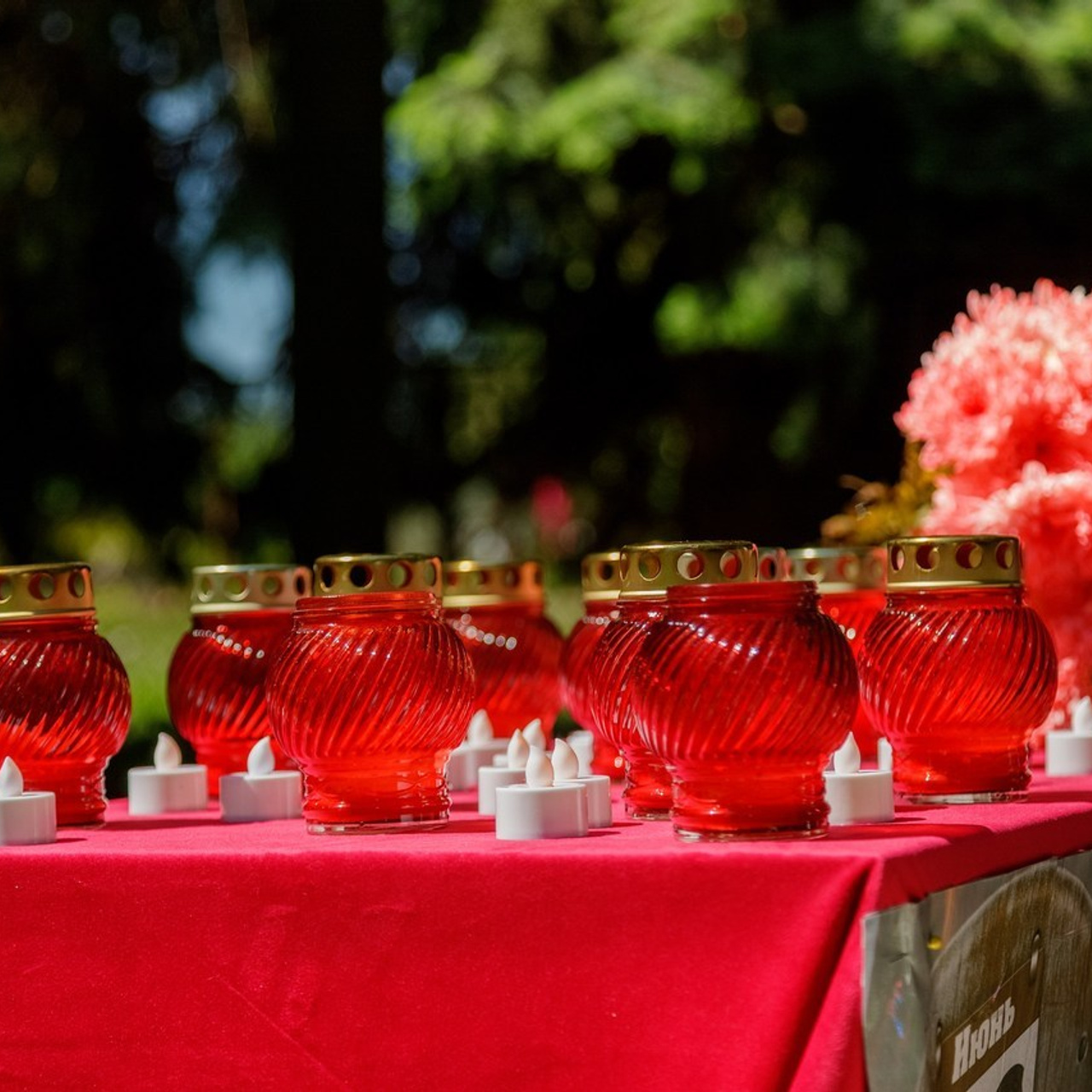 Отзывы. Репортажный фотограф Кузнецова Кристина