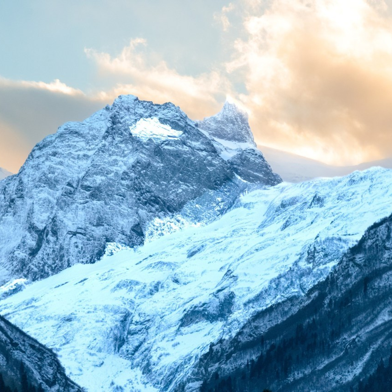 Отзывы. Репортажный фотограф Кузнецова Кристина