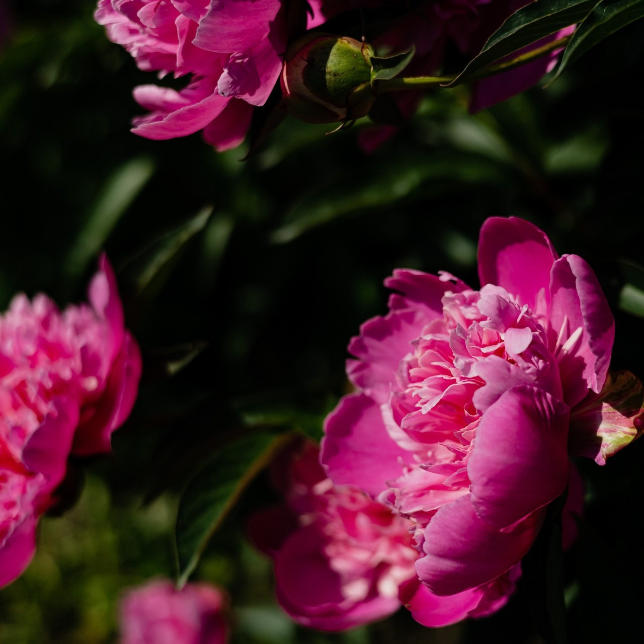 Отзывы. ФОТОГРАФ НОВОСИБИРСК — АЛЁНА ЖИГАЛЕЕВА