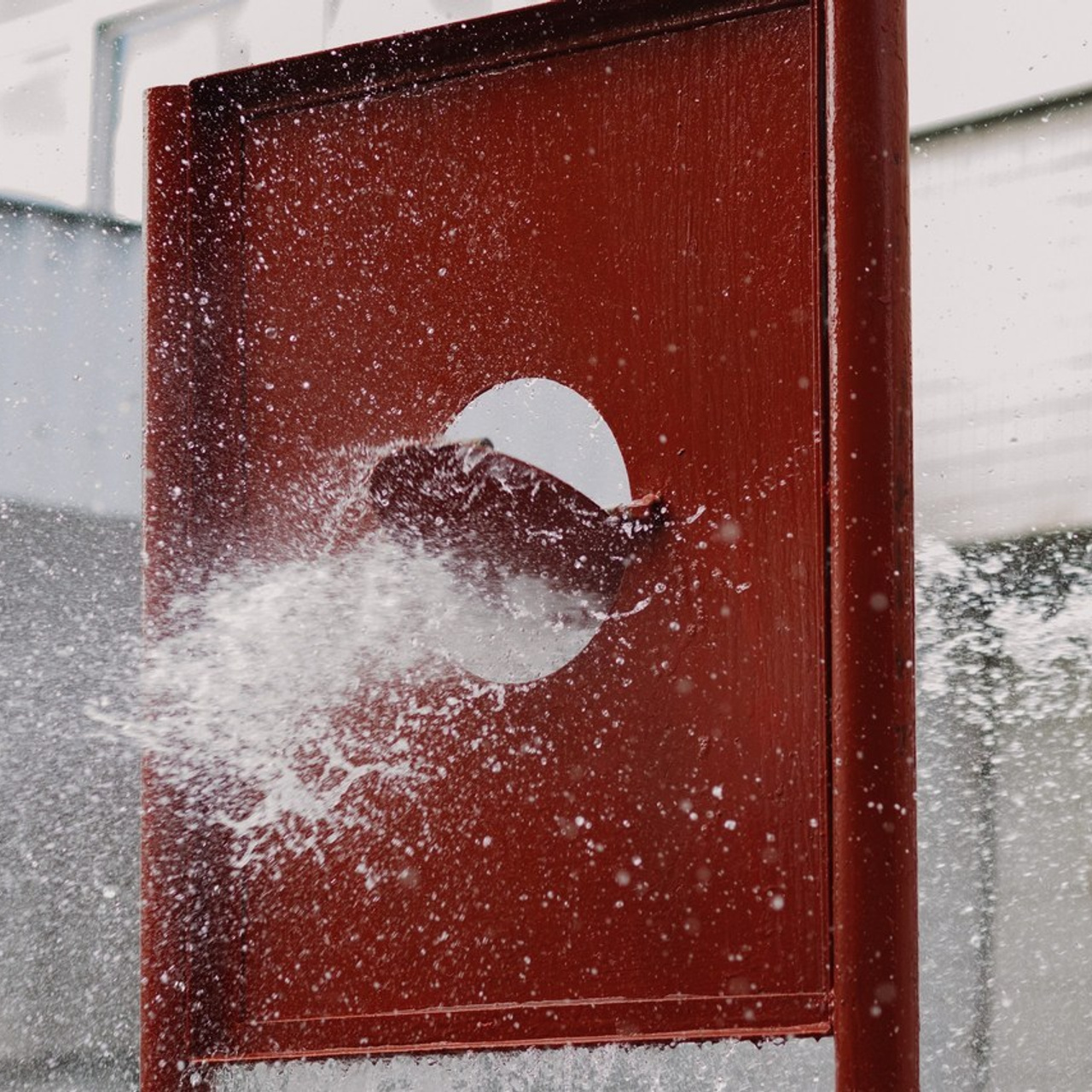 Отзывы. Фотограф Константин Земсков