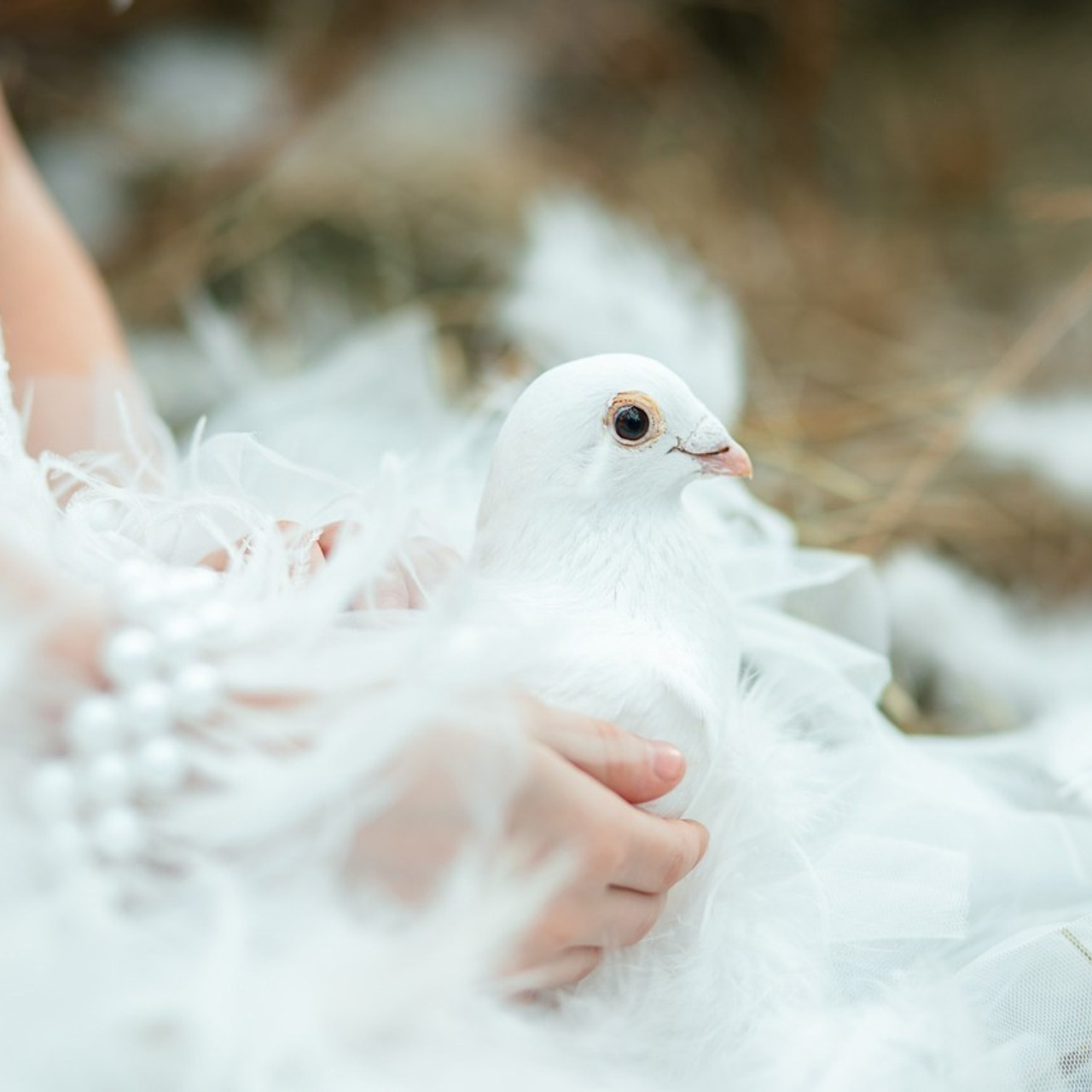 Отзывы. «Лаборатория Фотофей» — Виктория Балмош и Юлия Мун. Екатеринбург