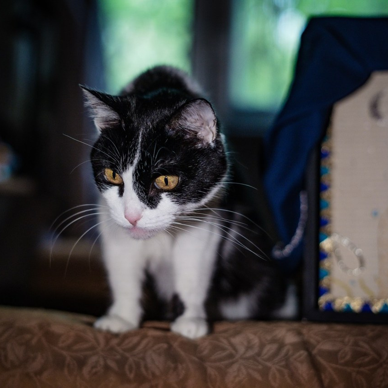 Отзывы. Yaratezza production