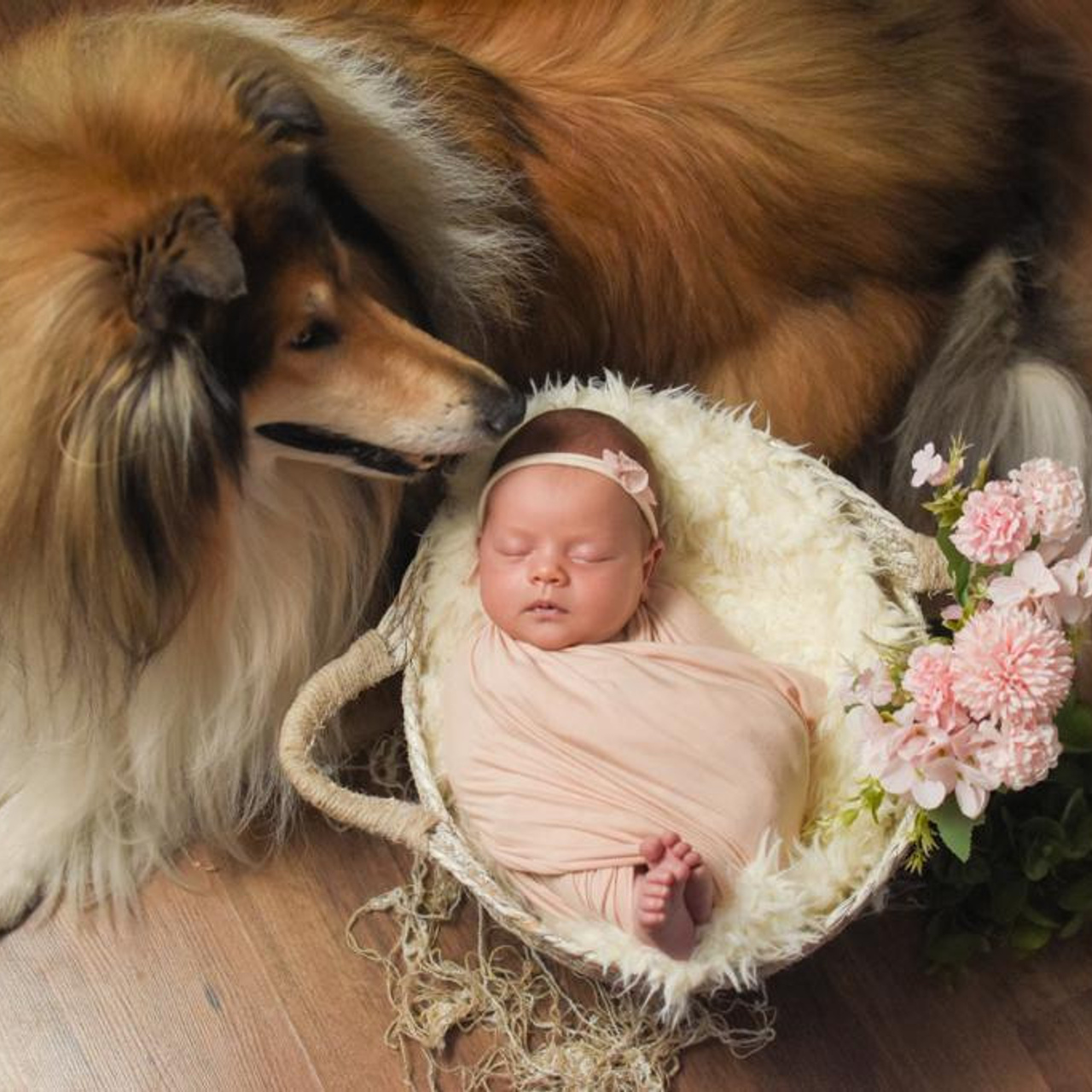 Отзывы. Фотограф новорожденных Новосибирск