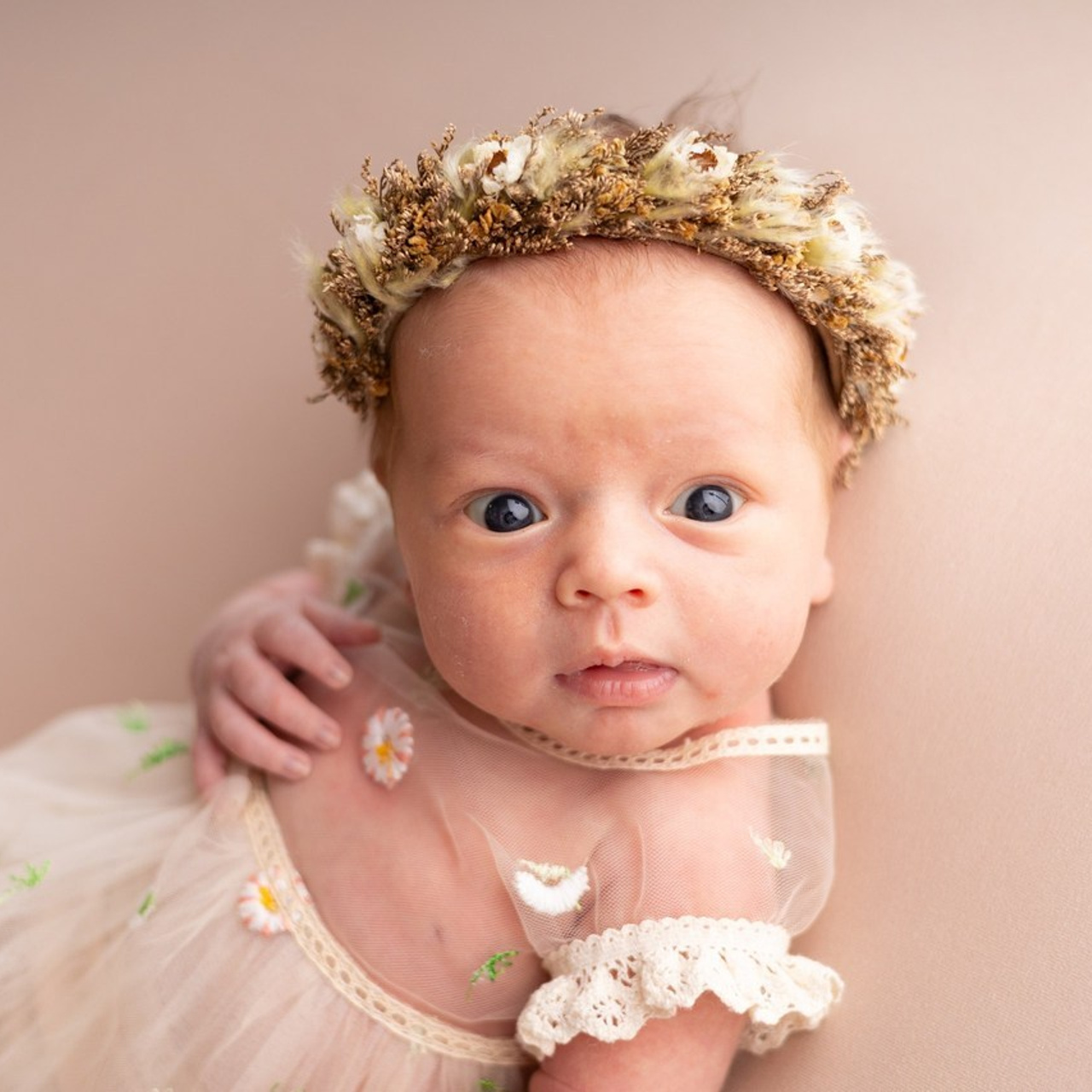 Отзывы. Фотограф новорожденных Новосибирск