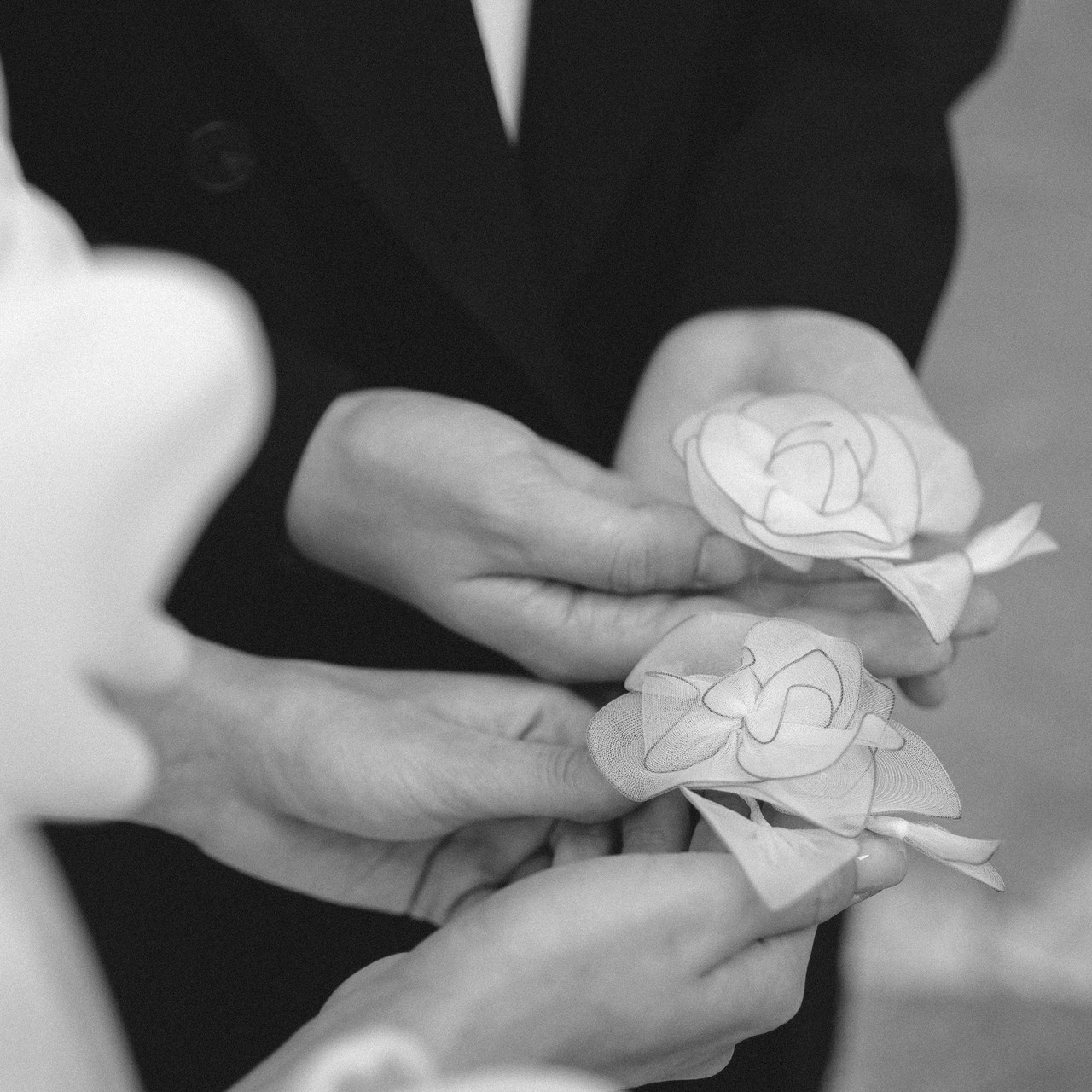 Отзывы о свадебном фотографе Анне Сиряк. Свадебный фотограф Ростов-на-Дону, Москва, Сочи