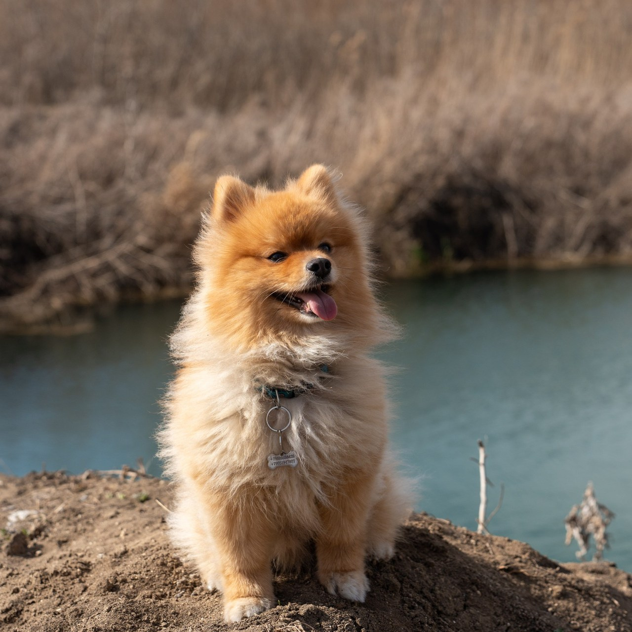 Отзывы. Семейный и детский фотограф Екатерина Черняева. Снимаю портреты, love story, фотопрогулки, работаю на улице, в кафе, студии, дома у клиента