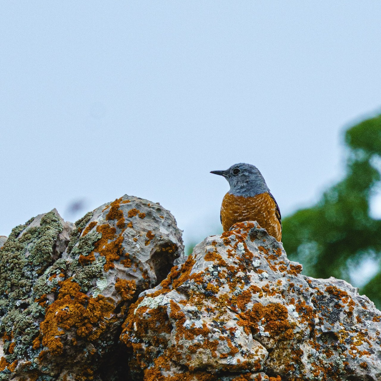Отзывы. Свадебный и Студийный фотограф из Казахстана Артем Орлянский