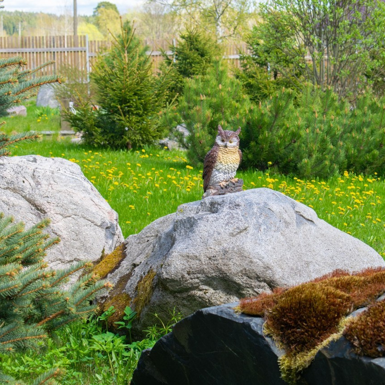 Отзывы. Фотограф в Карелии, Сортавала, Рускеала Наталья Зверева