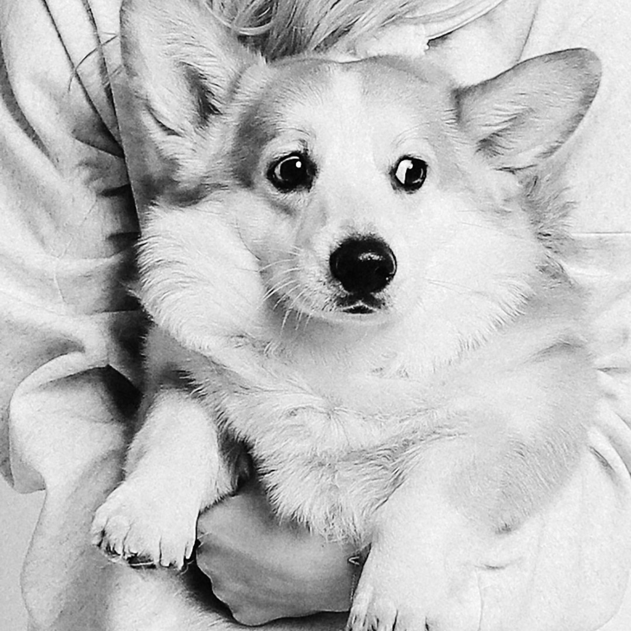 НОВОЕ! Первая студия на Ленинградской 29. Self-portrait studio in Samara