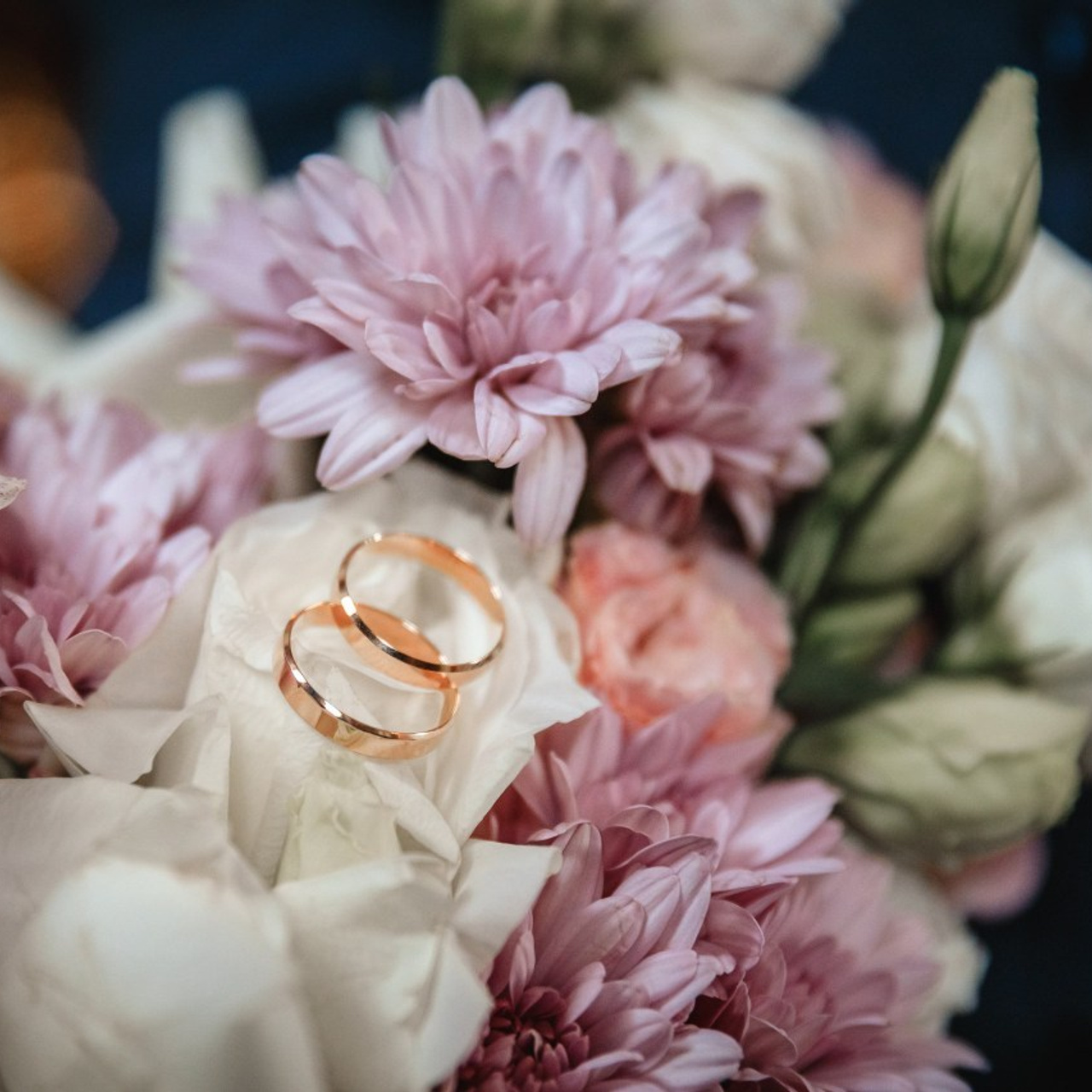 Елена Арди - Отзывы. Фотограф на крещение и венчание в Самаре и Тольятти Елена Арди