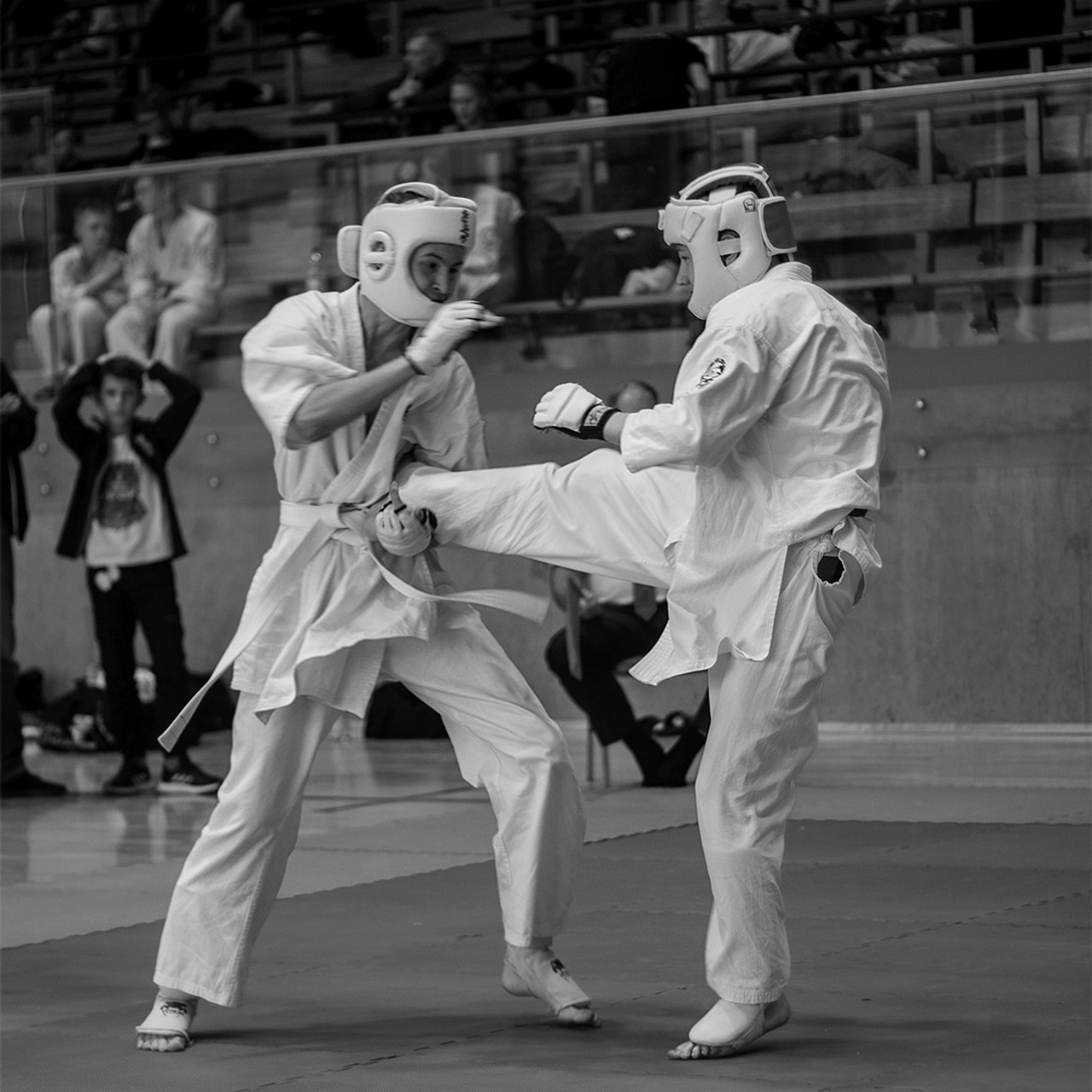 Чемпионат мира по карате Суздаль