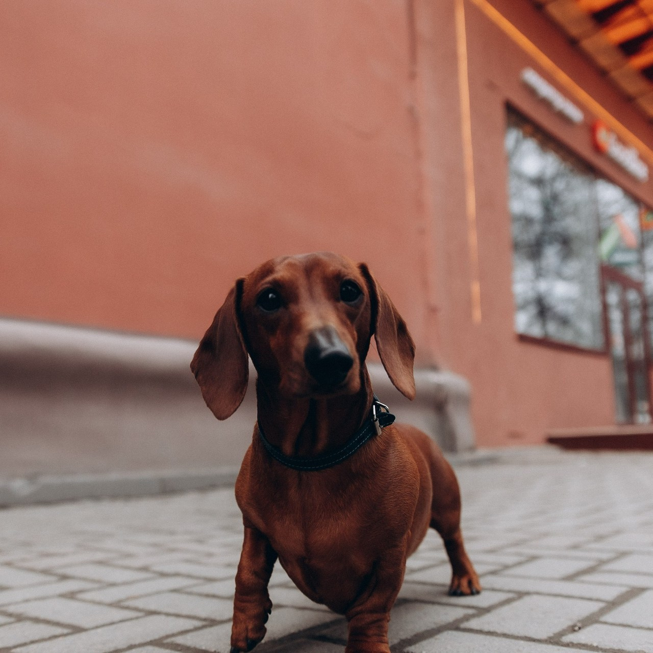 Отзывы. Фотограф Роман Блинов