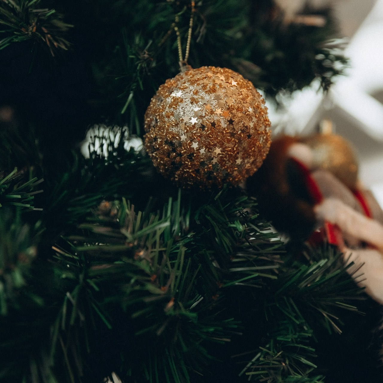 Отзывы. Фотограф Роман Блинов